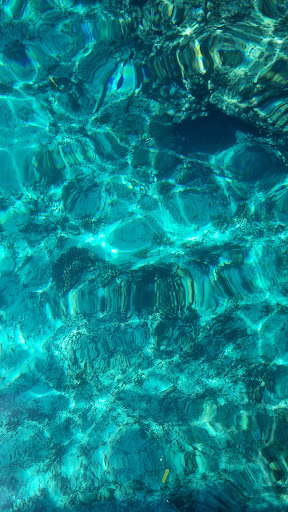 Photo from customer review