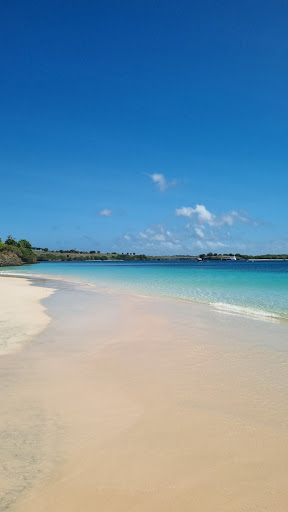 Photo from customer review