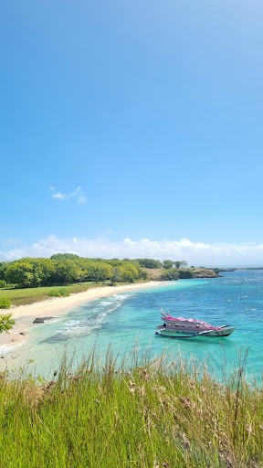 Photo from customer review